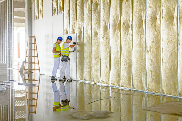 Best Attic Insulation Installation  in Lakeside, TX